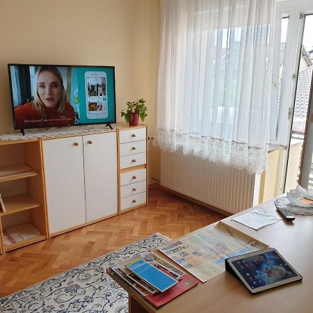 Apartment Milena マリボル エクステリア 写真
